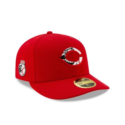 Red Cincinnati Reds Hat - New Era MLB 2021 Spring Training Low Profile 59FIFTY Fitted Caps USA1693842